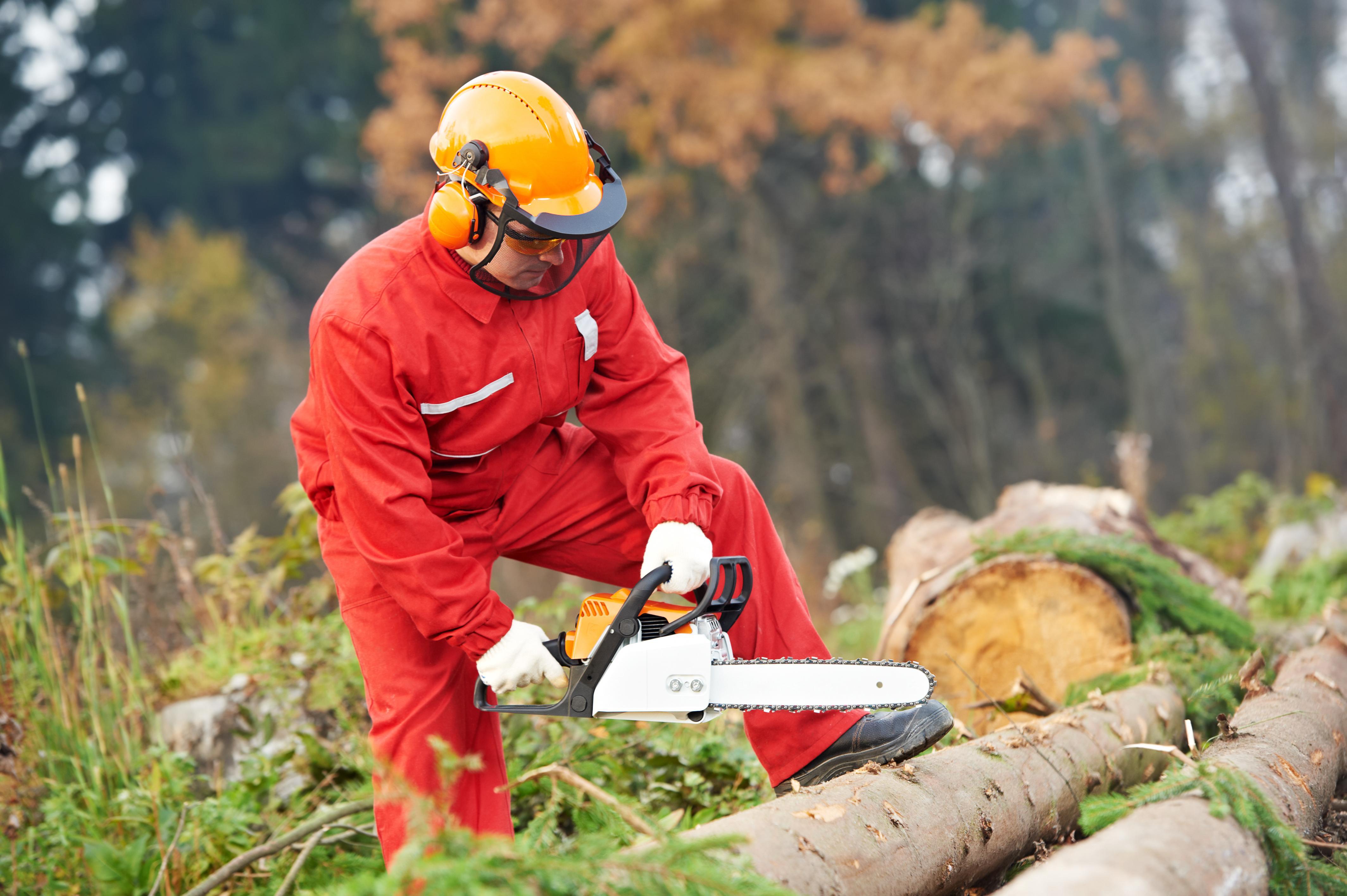 STIHL STIHL Shop Stens